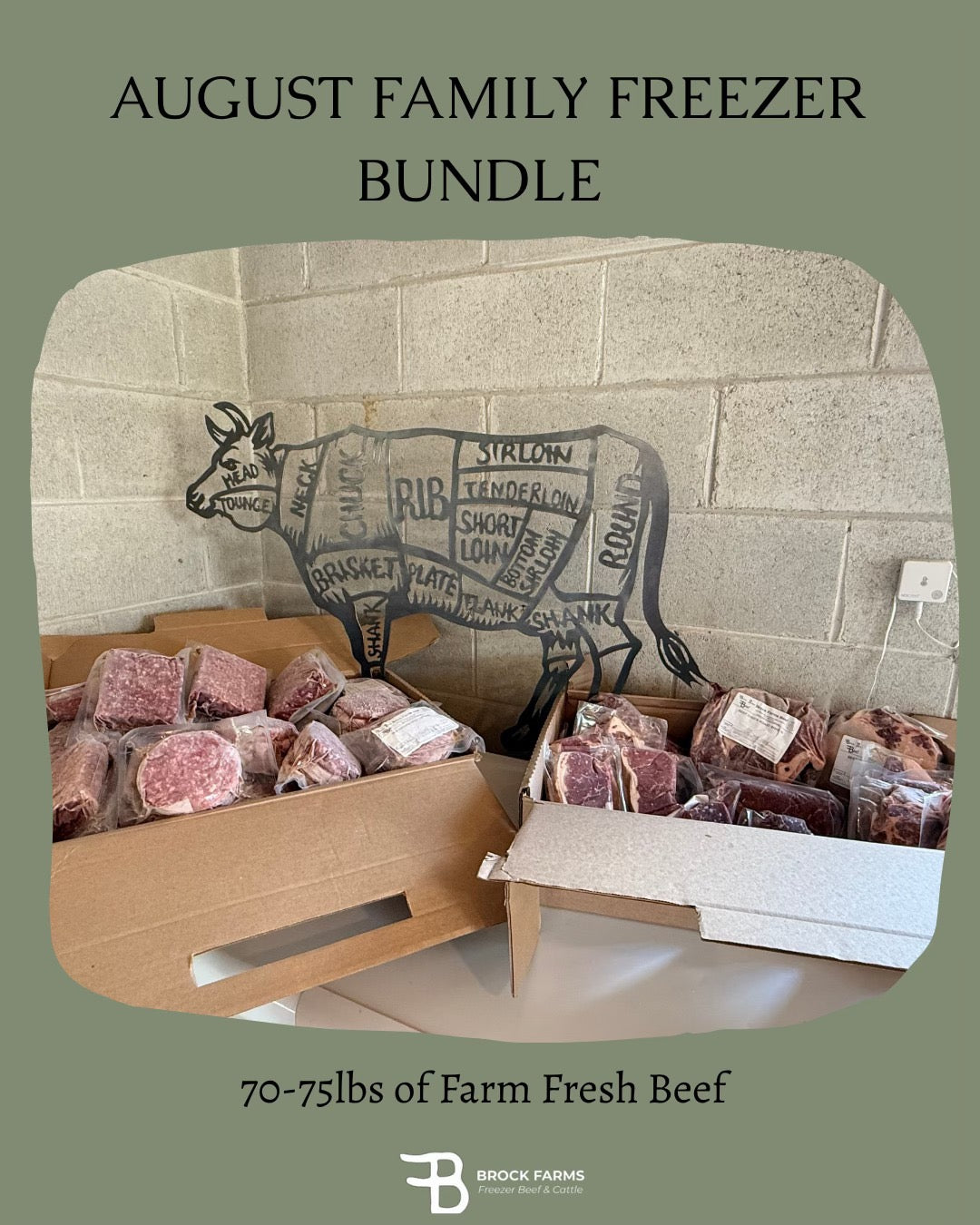 August Family Freezer Bundle