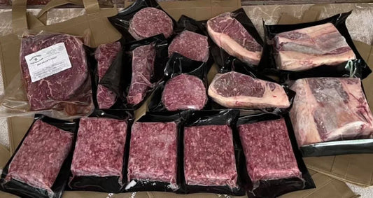 The Family Pack Bundle